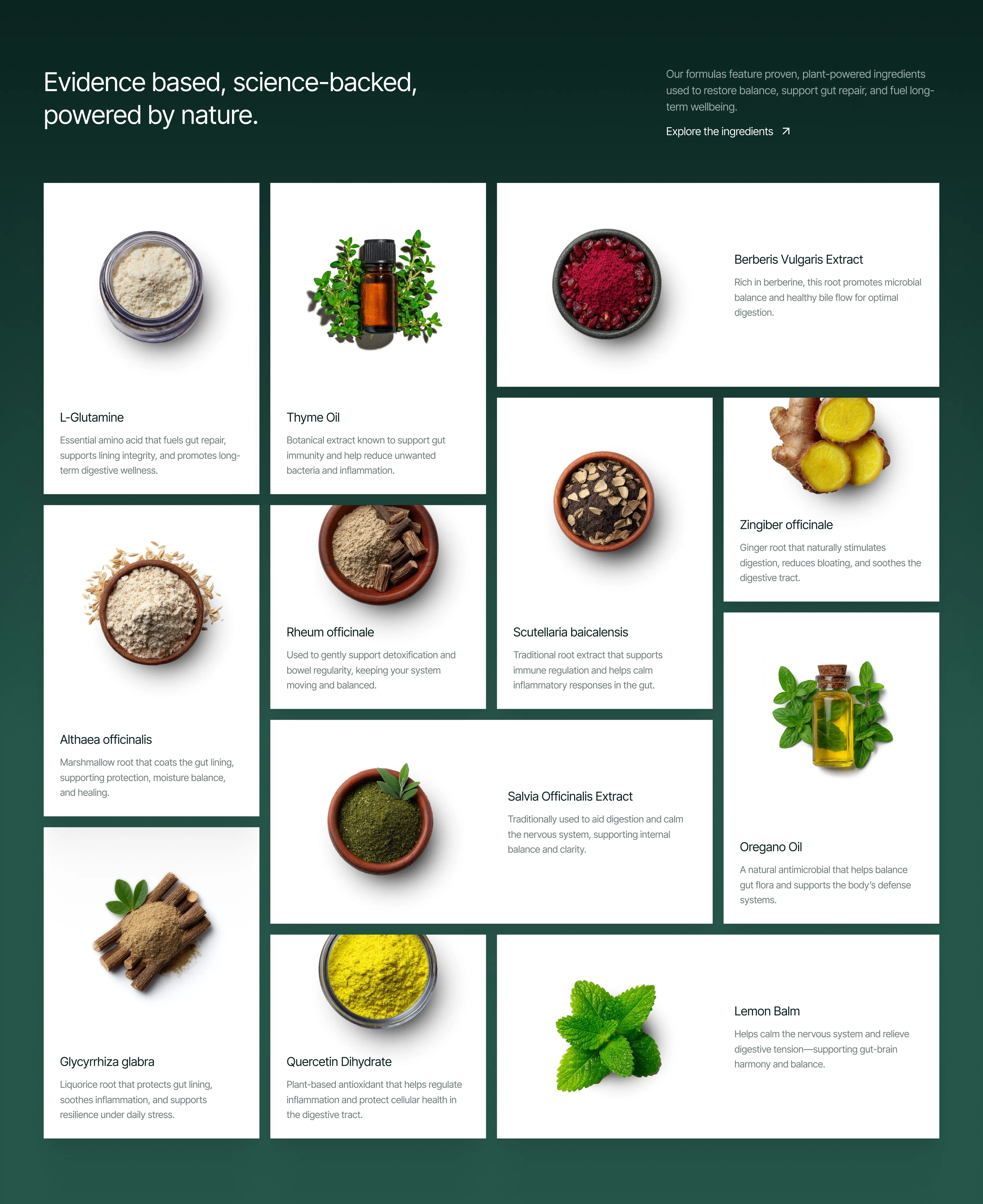 FixBiome · Health and Wellness